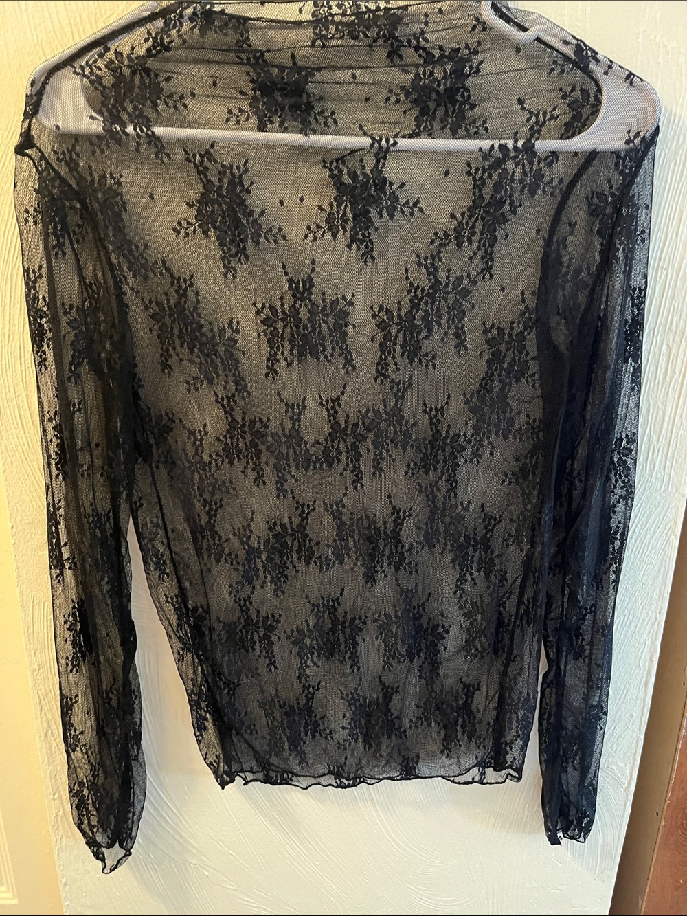 Sheer Black Lace Long Sleeve Top